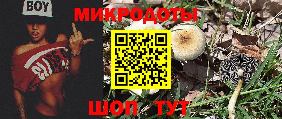 Гулькевичи  Псилоцибиновые грибы Psilocybe  Вход с VPN 