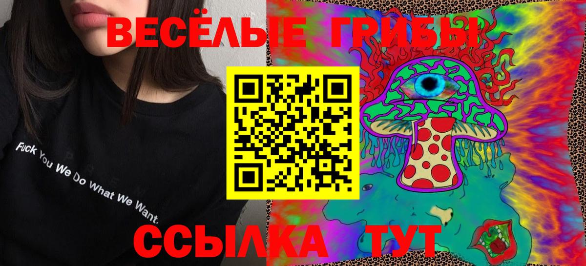 Псилоцибиновые грибы Cubensis Гулькевичи